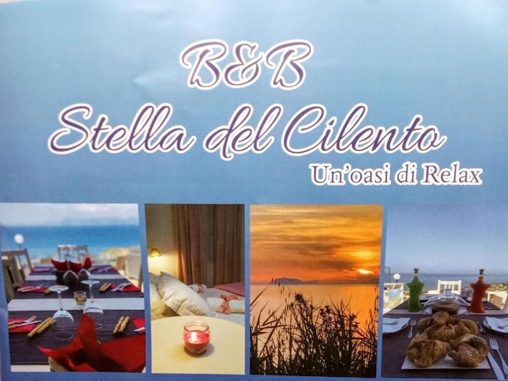 B&B Stella Del Cilento Di Anna Botti 阿格罗波利 外观 照片