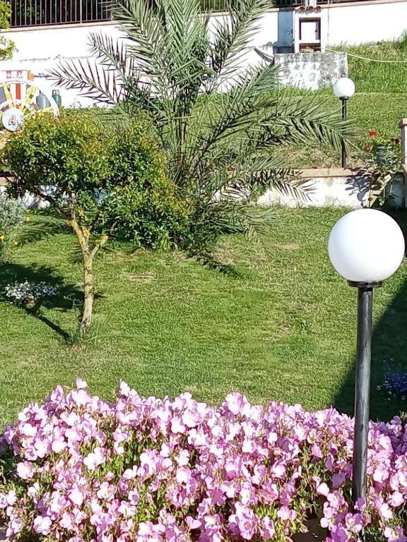 B&B Stella Del Cilento Di Anna Botti 阿格罗波利 外观 照片